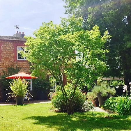 Bed&Breakfast La Clepsydre Fontenay-aux-Roses Eksteriør billede