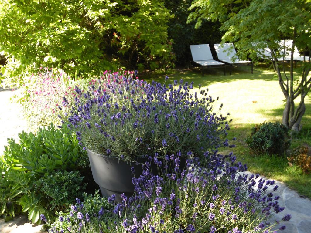 Bed&Breakfast La Clepsydre Fontenay-aux-Roses Eksteriør billede